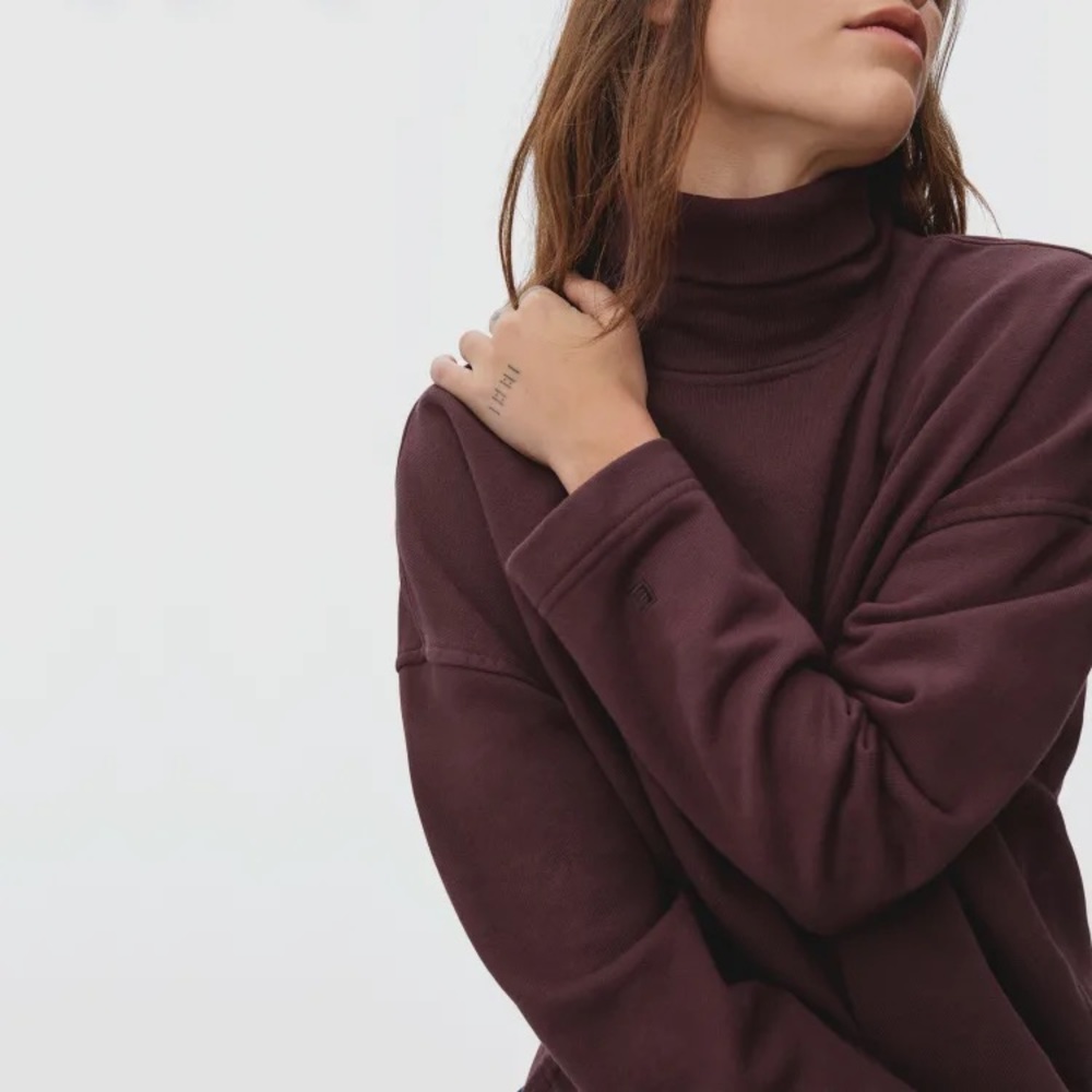 Everlane burgundy turtleneck sweatshirt